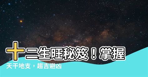 十二生旺庫|【十二生旺庫】掌握「十二長生庫」：破解命盤生死絕旺之謎